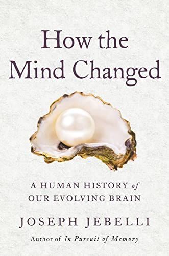 Brain Like No Other