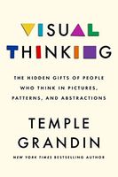 Visual Thinking
