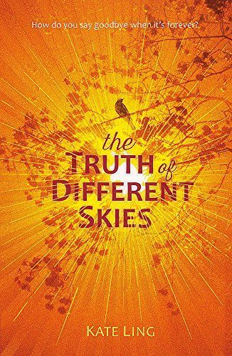 Truth of Different Skies