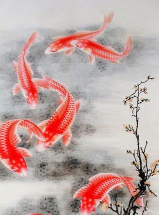 The Fish of Lijiang