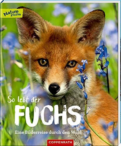 So lebt der Fuchs