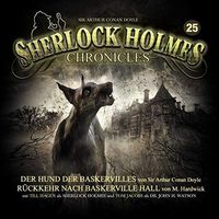 Sherlock Holmes Chronicles 25