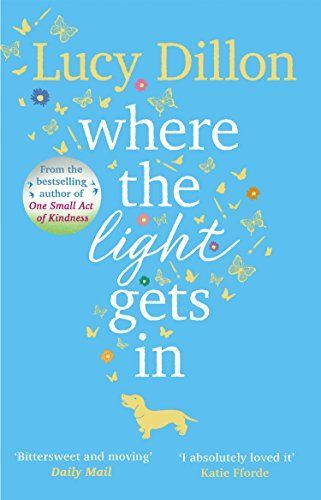 Where the Light Gets In