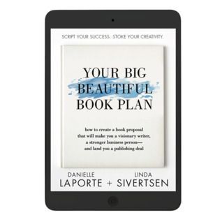 Your Big Beautiful Book Plan