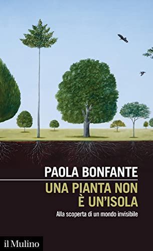 Una pianta non è un'isola. Alla scoperta di un mondo invisibile