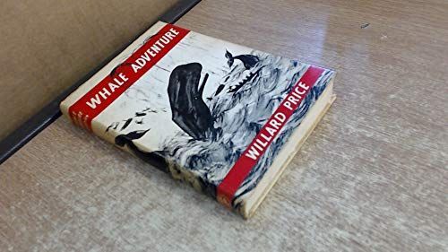 Whale Adventure