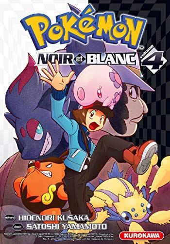 Pokémon noir et blanc