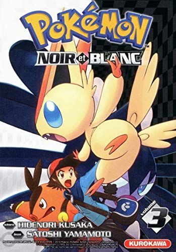 Pokémon noir et blanc