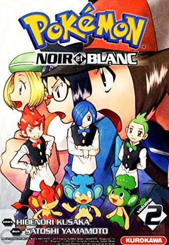 Pokémon noir et blanc