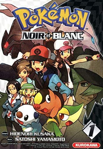 Pokémon noir et blanc