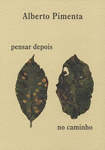 Pensar depois no daminho