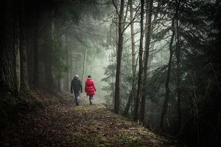 Introvert Connection Guide 7 Steps To Attract Your Ideal Friends