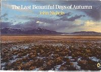 The Last Beautiful Days of Autumn