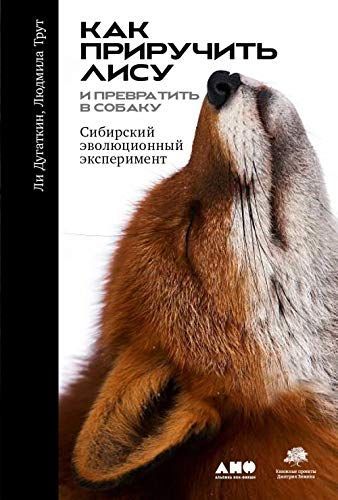Как приручить лису (и превратить в собаку): цибирский эволюционный эксперимент