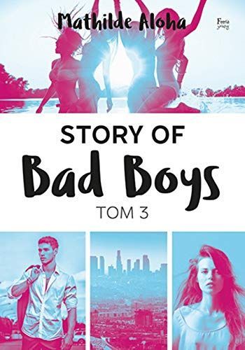Story of Bad Boys