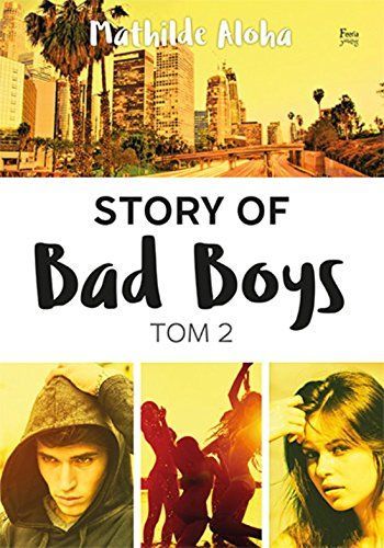 Story of Bad Boys