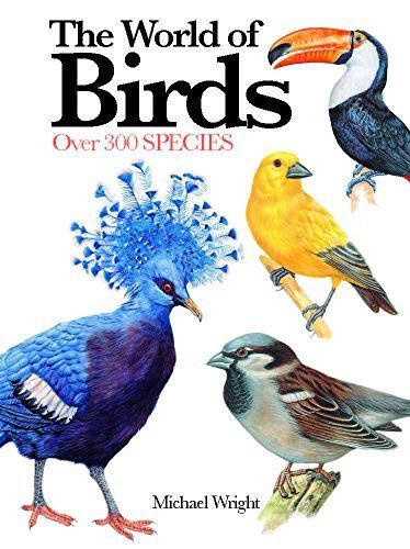 The World of Birds