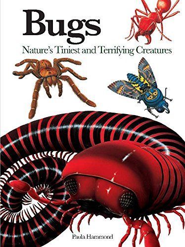 Bugs