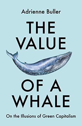 How to Value the Earth