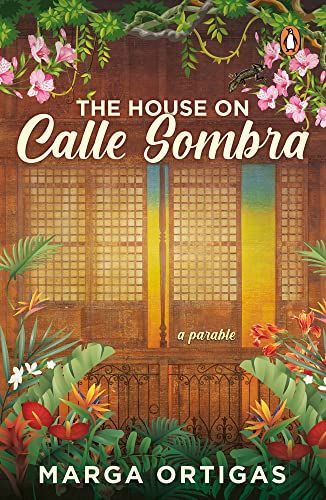 The House on Calle Sombra - a Parable