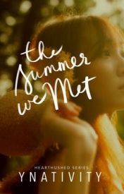 The Summer We Met