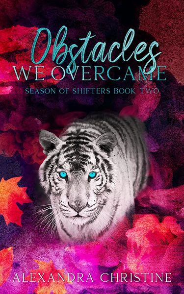 Obstacles We Overcame