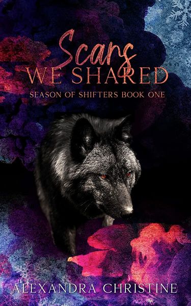 Scars We Shared