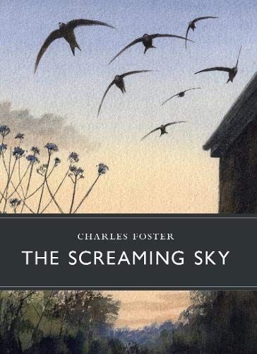 Screaming Sky