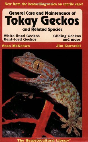 General Care and Maintenance of Tokay Geckos and Related Species