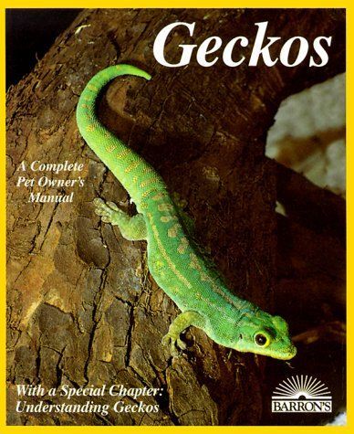 Geckos