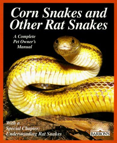 Corn Snakes and Other Rat Snakes