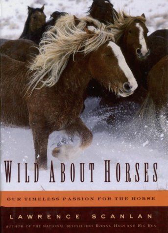 Wild about Horses