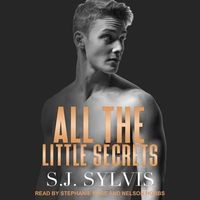 All the Little Secrets Lib/E