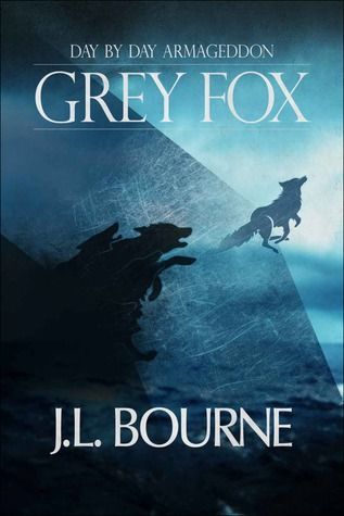 Grey Fox