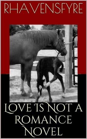 Love Is Not a Romance Novel