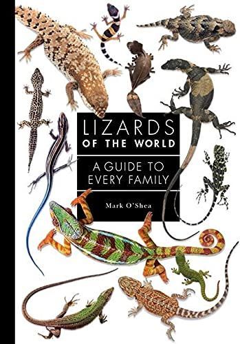 Lizards of the World