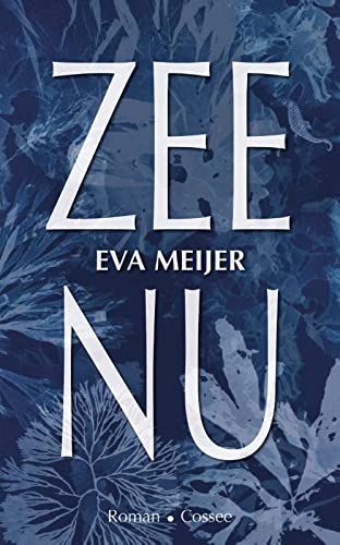 Zee, Nu