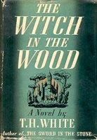 The Witch in the Wood