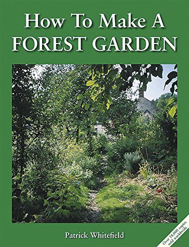 How to Make a Forest Garden