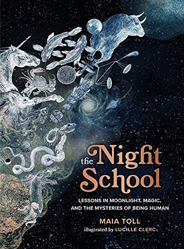 The Night School