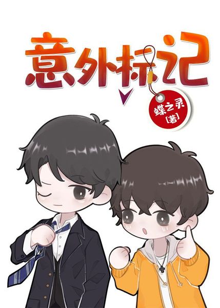 意外标记Accidental Mark