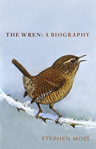 Wren