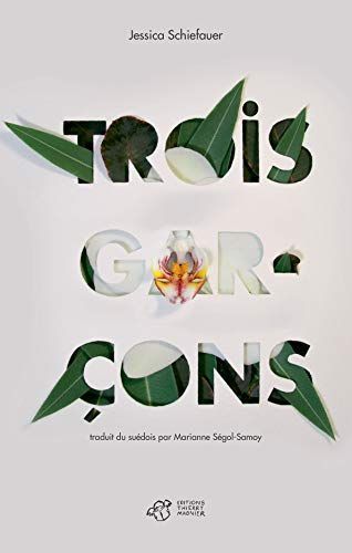Trois garçons : roman