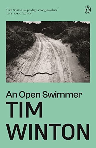 Open Swimmer