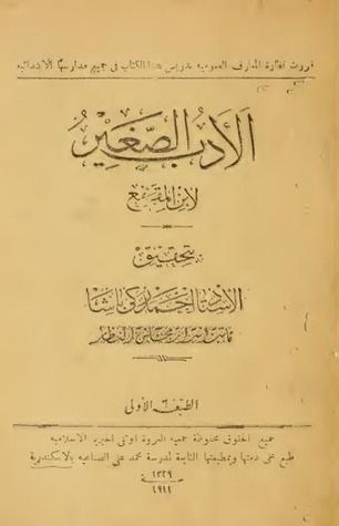 الأدب الصغير