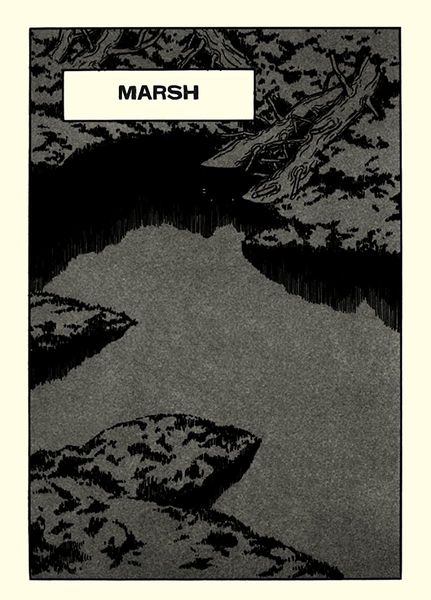 Marsh