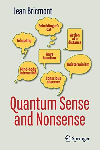 Quantum Sense and Nonsense