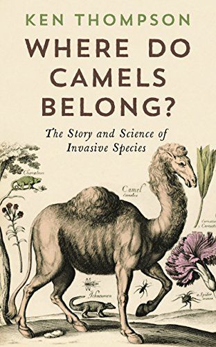 Where do camels belong?