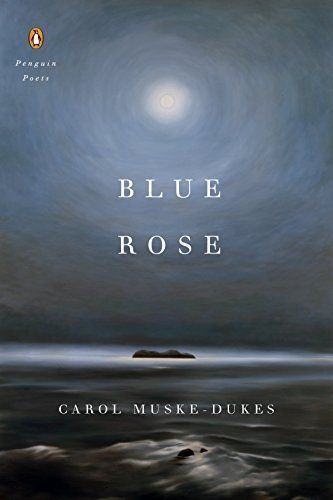 Blue rose