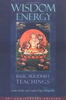 Wisdom Energy